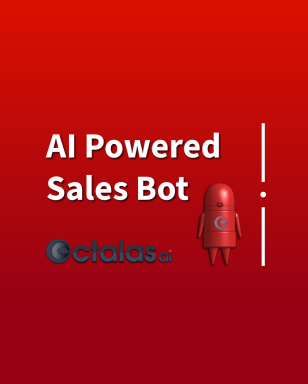octalas chatbot (42)
